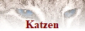 Katzen